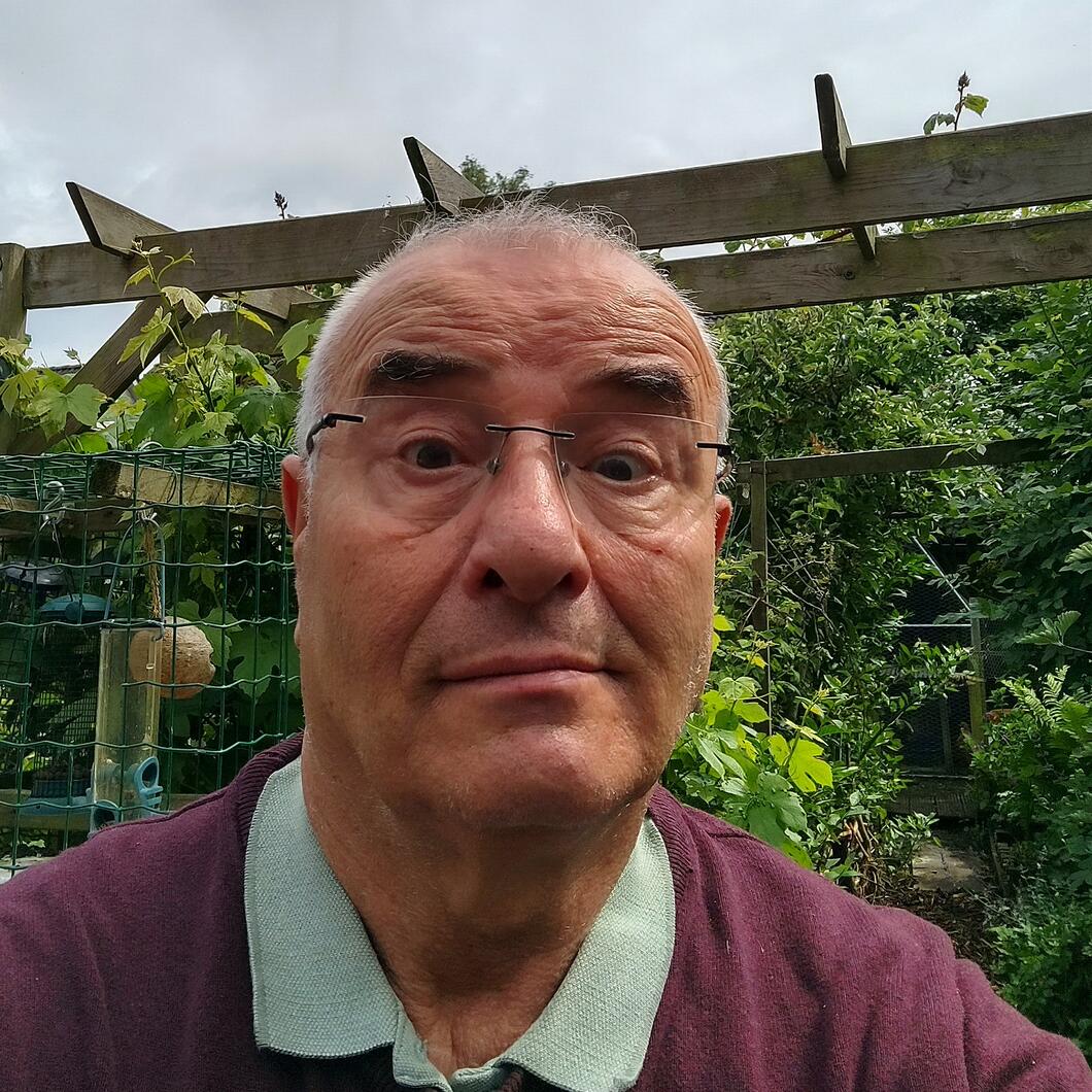Hans Nieuwenhuijsen